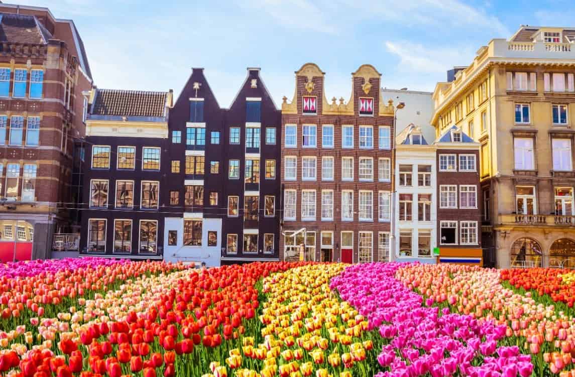 معلومات هامة قبل السفر الى هولندا