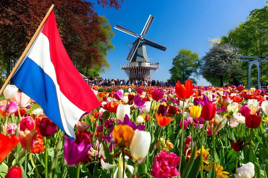 حديقة كويكنهوف امستردام Keukenhof