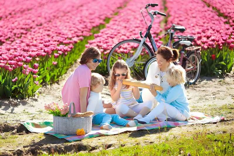 هل أمستردام تصلح للعوائل؟