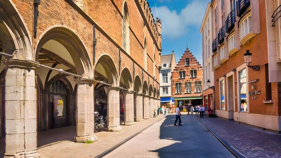 سيارة مع سائق في بلجيكا