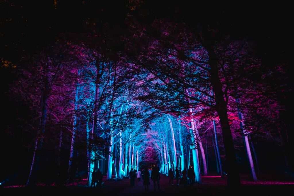 جولة سياحية في الغابة المضيئة روتردام – Fun Forest Rotterdam