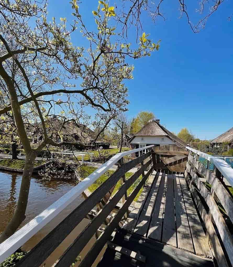 متجر-جلوريا-ماريس-جيثورن-gloria-maris-giethoorn