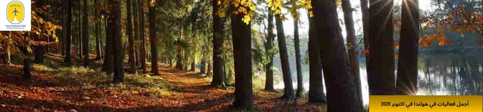 خريف ملوّن ينتظرك في أهم فعاليات هولندا في أكتوبر 2025