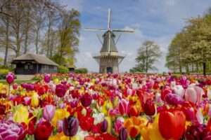 اجازة عيد الفطر 2026 في حديقة كوكنهوف في هولندا