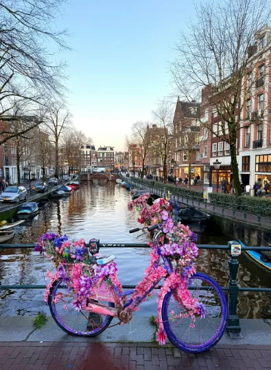 الربيع في هولندا