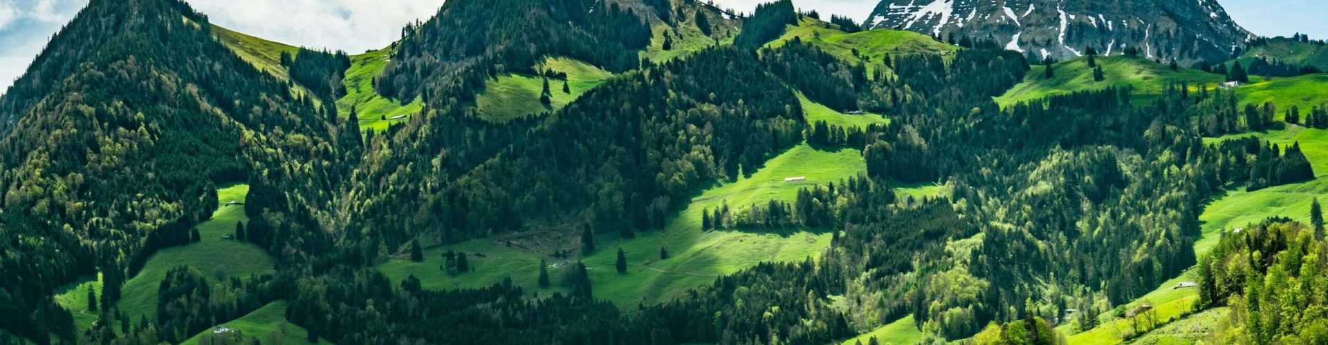 pexels-christopher-politano-978995-23503670